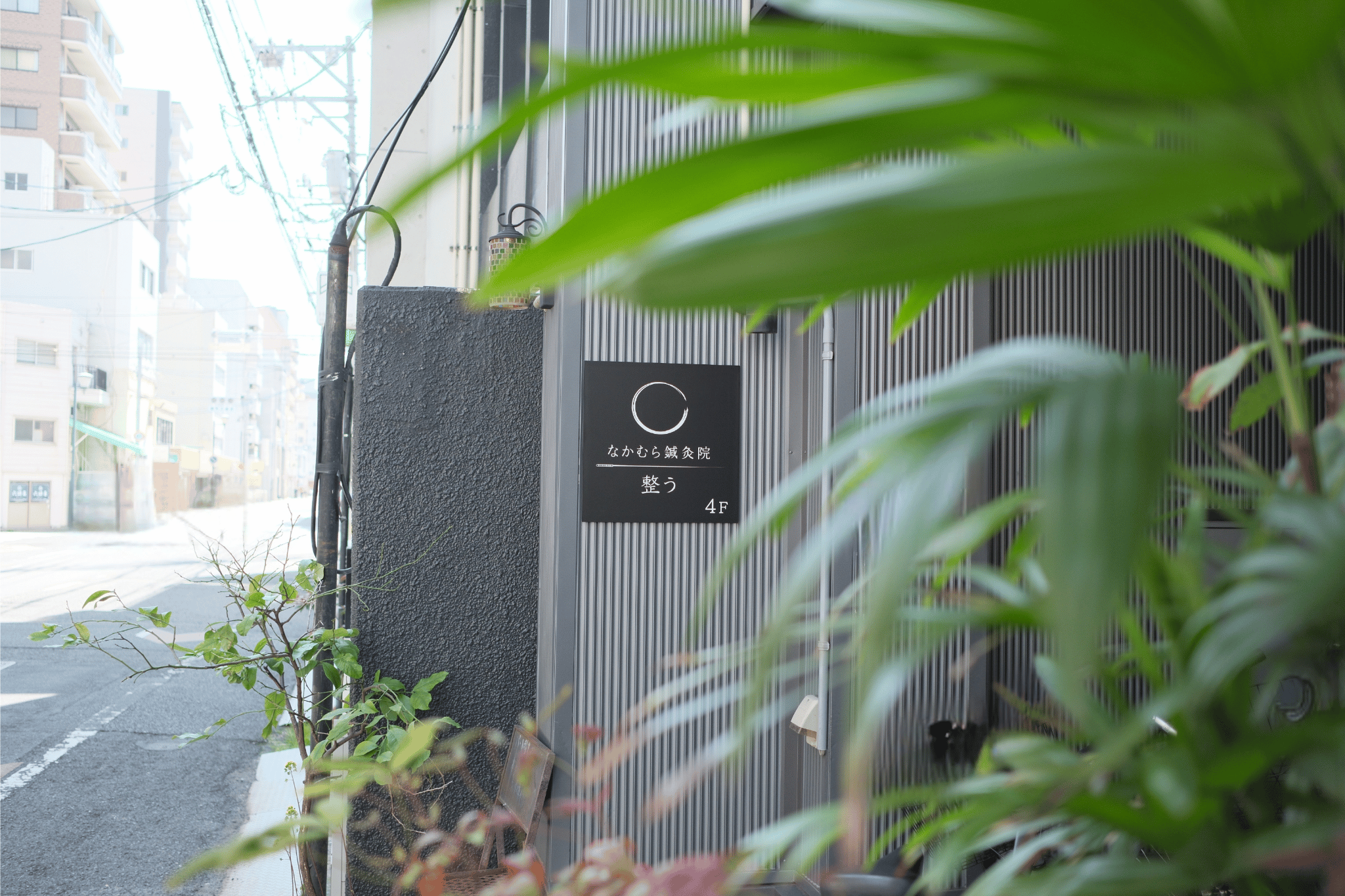 Urban Japanese storefront with black signage, metal gate, and green plant foliage in foreground